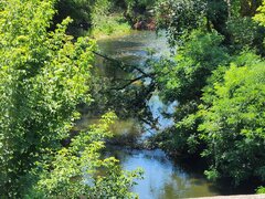 Magurele, Piscina Magurele, doar 1 km primarie, parc